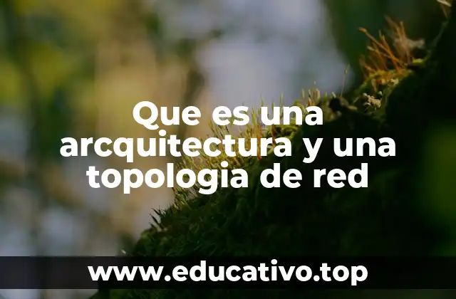 Que es una arcquitectura y una topologia de red