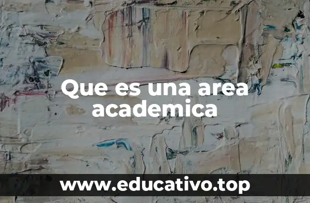 Cómo se estructuran las áreas académicas en las universidades