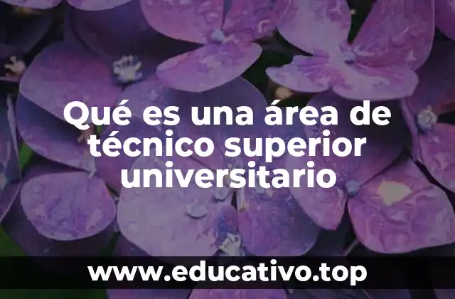 Qué es una área de técnico superior universitario