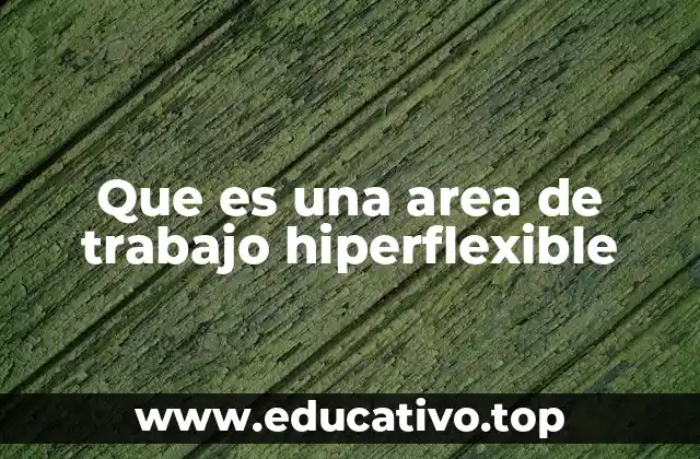Que es una area de trabajo hiperflexible