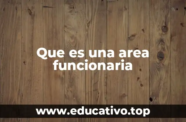 La importancia de las áreas funcionarias en la administración pública