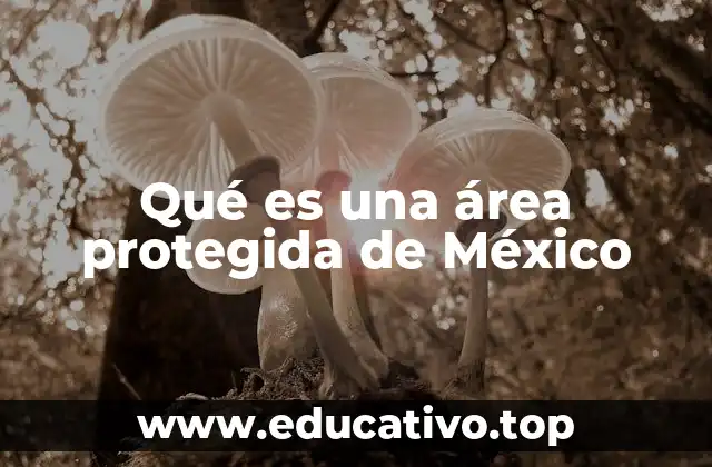 Qué es una área protegida de México
