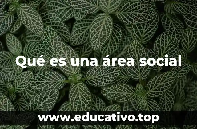 Qué es una área social