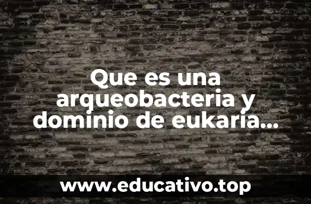 Que es una arqueobacteria y dominio de eukaria ejemplos