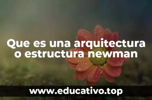Que es una arquitectura o estructura newman