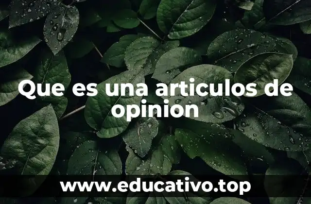 Que es una articulos de opinion