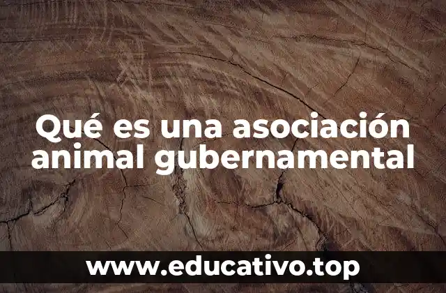 Qué es una asociación animal gubernamental