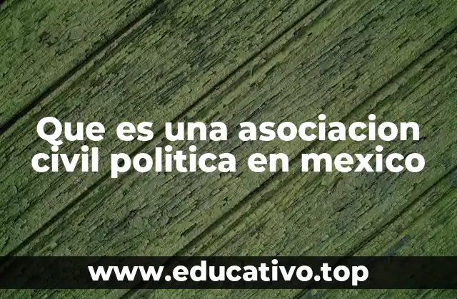 Que es una asociacion civil politica en mexico