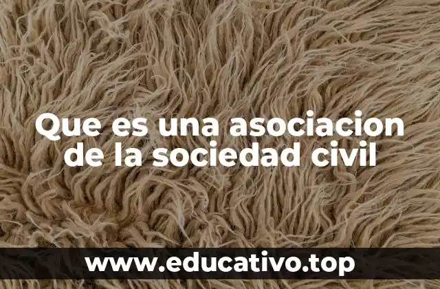 La participación ciudadana como motor de cambio social