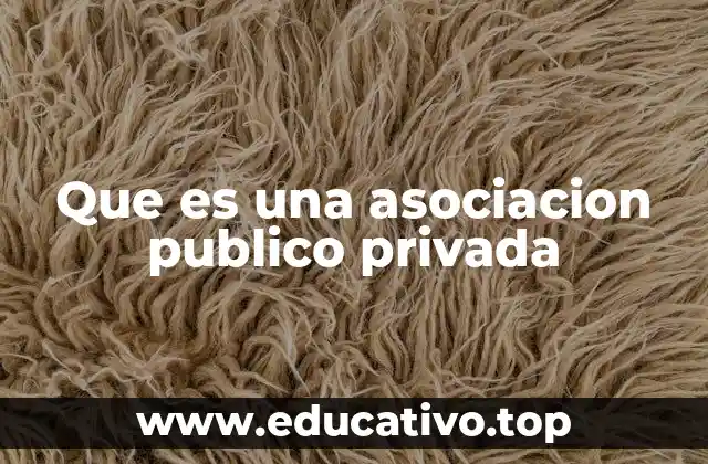 Que es una asociacion publico privada