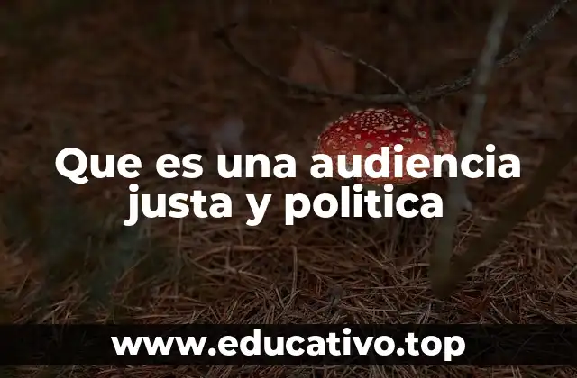 Que es una audiencia justa y politica