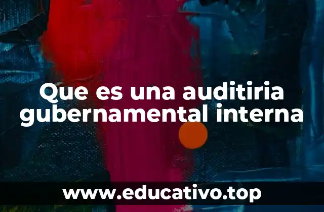 Que es una auditiria gubernamental interna