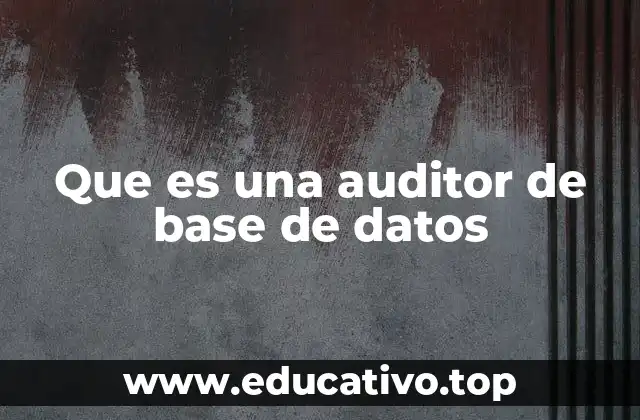 Que es una auditor de base de datos