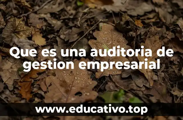 Que es una auditoria de gestion empresarial