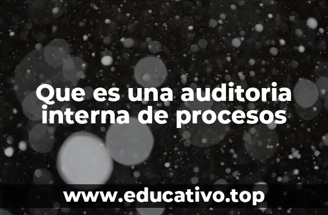 Que es una auditoria interna de procesos