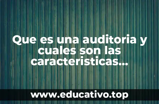 Que es una auditoria y cuales son las caracteristicas generales