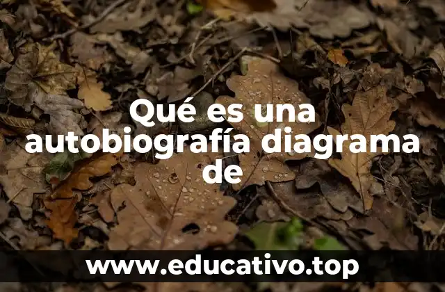 Qué es una autobiografía diagrama de