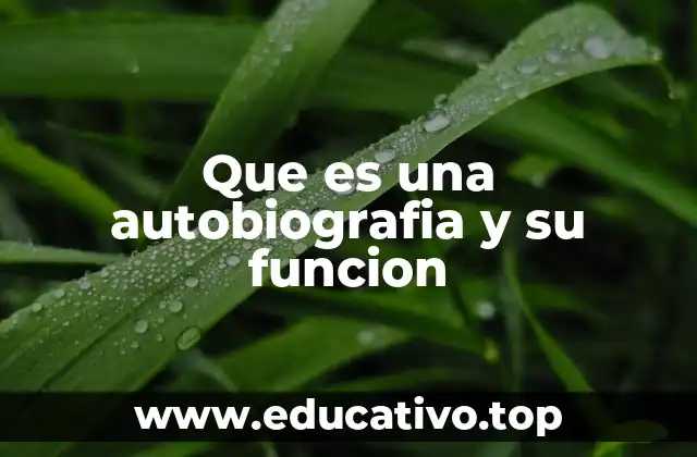 Que es una autobiografia y su funcion