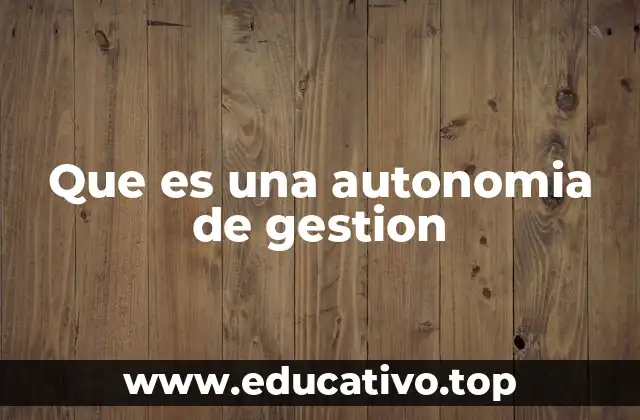 Que es una autonomia de gestion