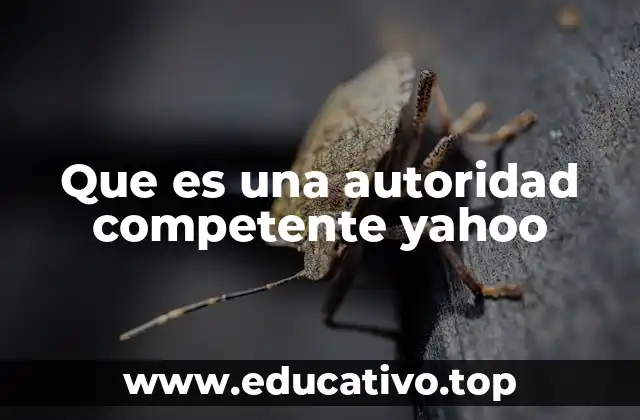 Que es una autoridad competente yahoo