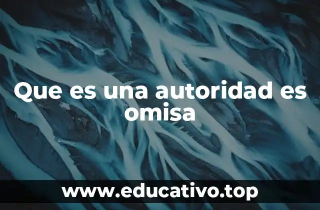 Que es una autoridad es omisa