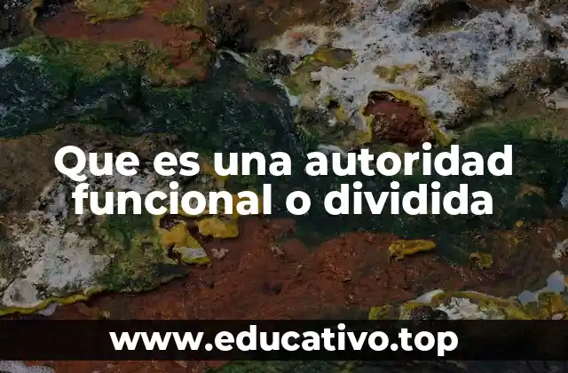 Que es una autoridad funcional o dividida