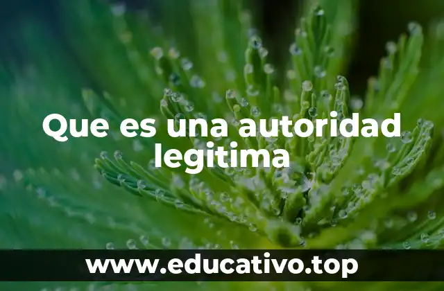 Que es una autoridad legitima