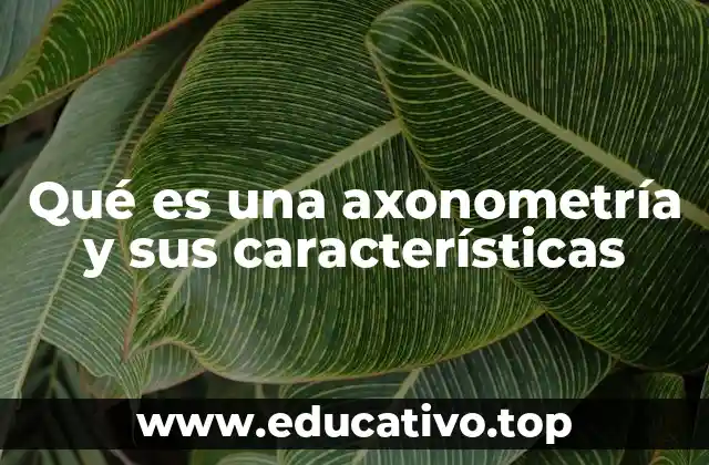 Qué es una axonometría y sus características