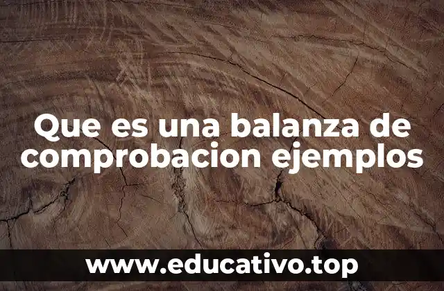 Que es una balanza de comprobacion ejemplos