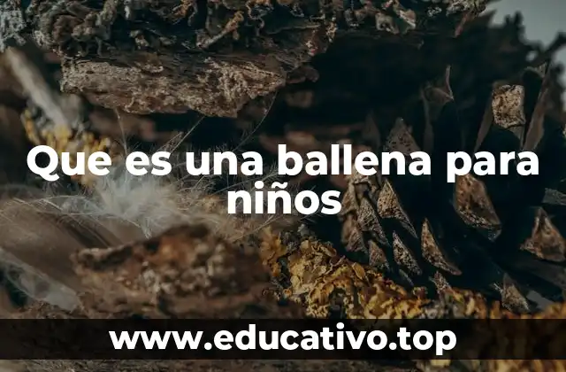 Que es una ballena para niños