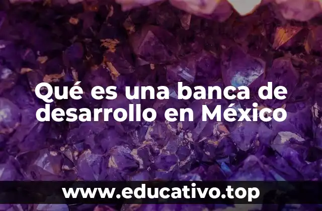 Qué es una banca de desarrollo en México