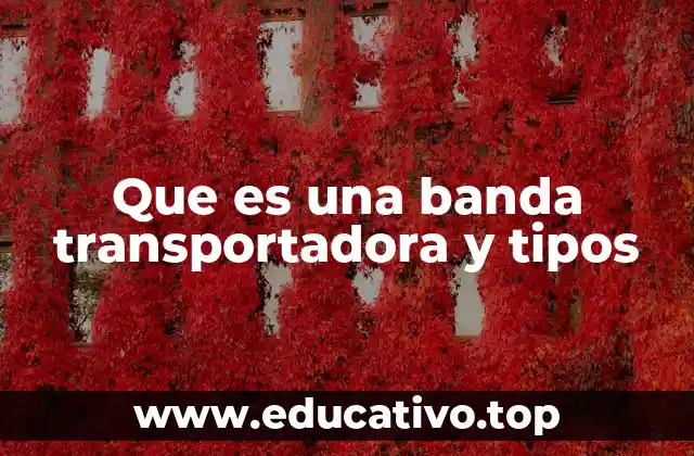 Que es una banda transportadora y tipos