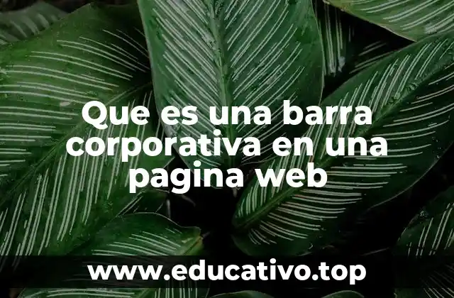 Que es una barra corporativa en una pagina web