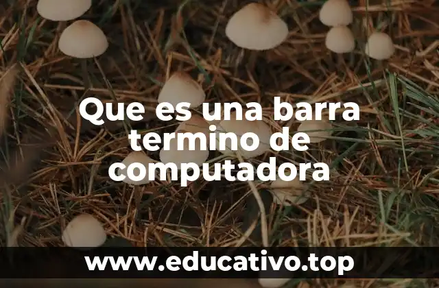 Que es una barra termino de computadora