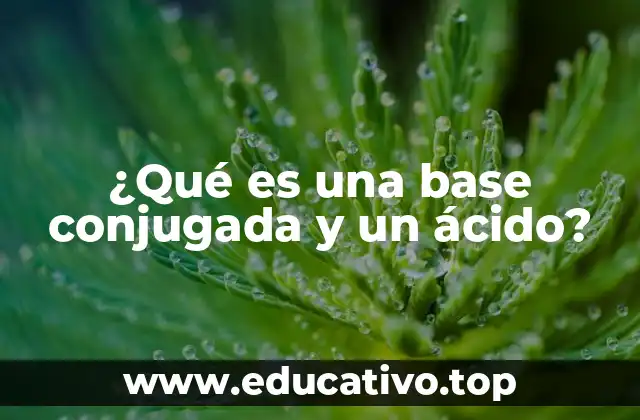 ¿Qué es una base conjugada y un ácido?