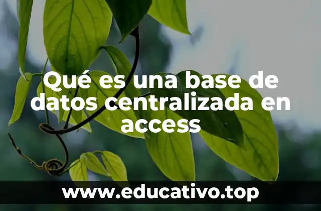 Qué es una base de datos centralizada en access