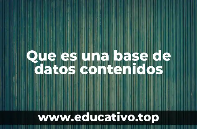 Que es una base de datos contenidos