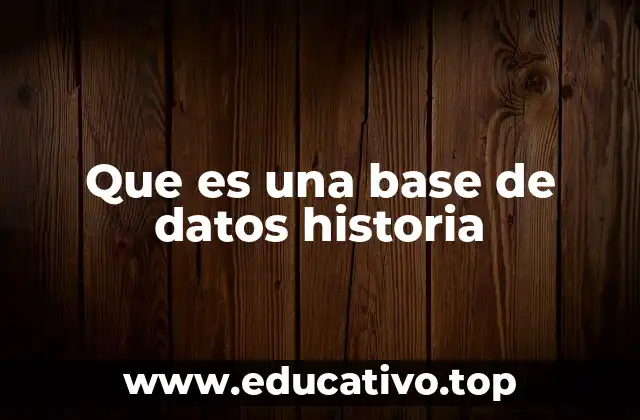 Que es una base de datos historia