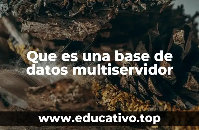 Que es una base de datos multiservidor