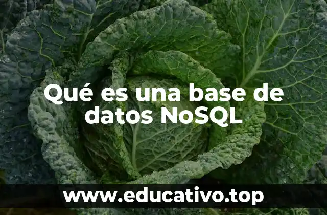 Qué es una base de datos NoSQL