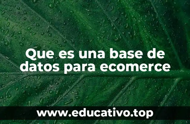 Que es una base de datos para ecomerce