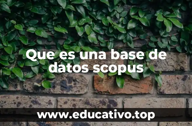 Que es una base de datos scopus