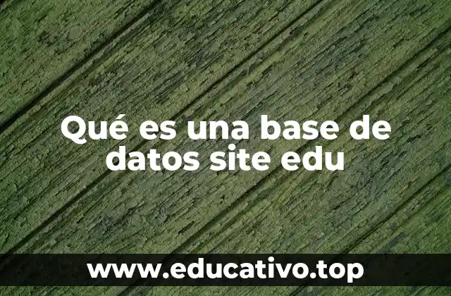 Qué es una base de datos site edu