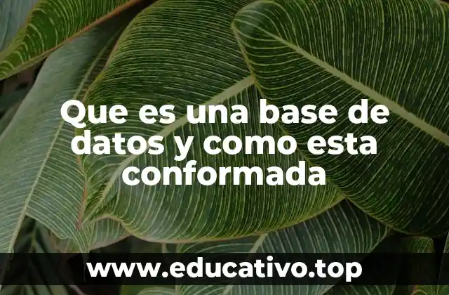 Que es una base de datos y como esta conformada