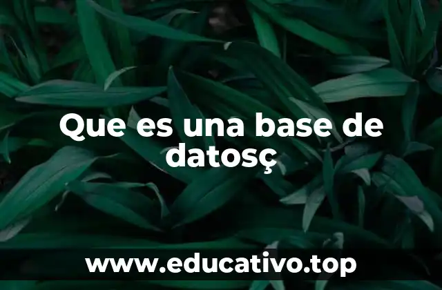 Que es una base de datosç