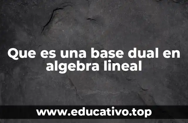 Que es una base dual en algebra lineal