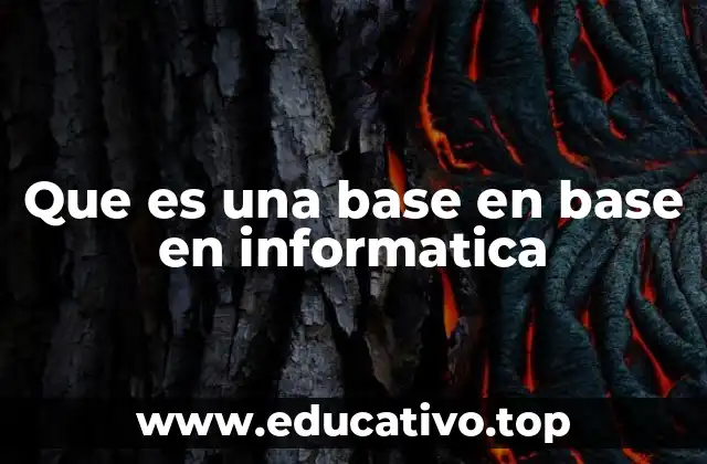 La importancia de las bases de datos en la gestión de información
