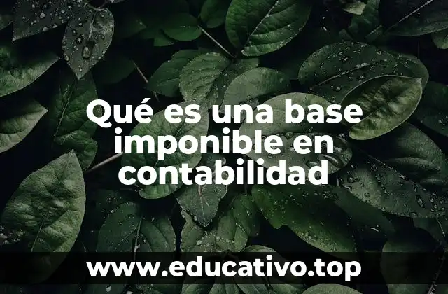 Qué es una base imponible en contabilidad