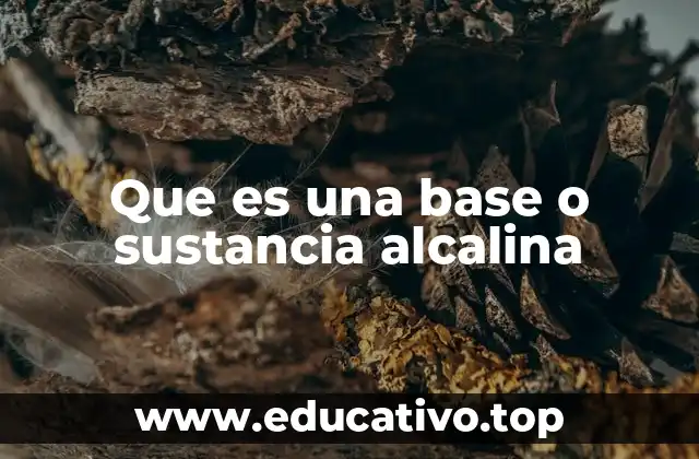 Que es una base o sustancia alcalina