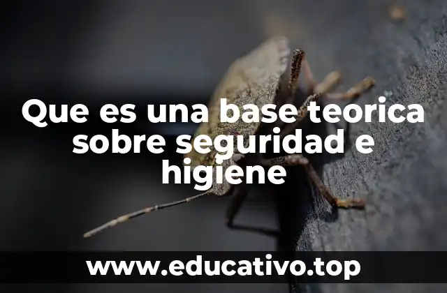Que es una base teorica sobre seguridad e higiene